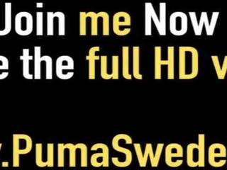 Špinavý mluvící puma swede drills ji sladký švédský chňapnout!